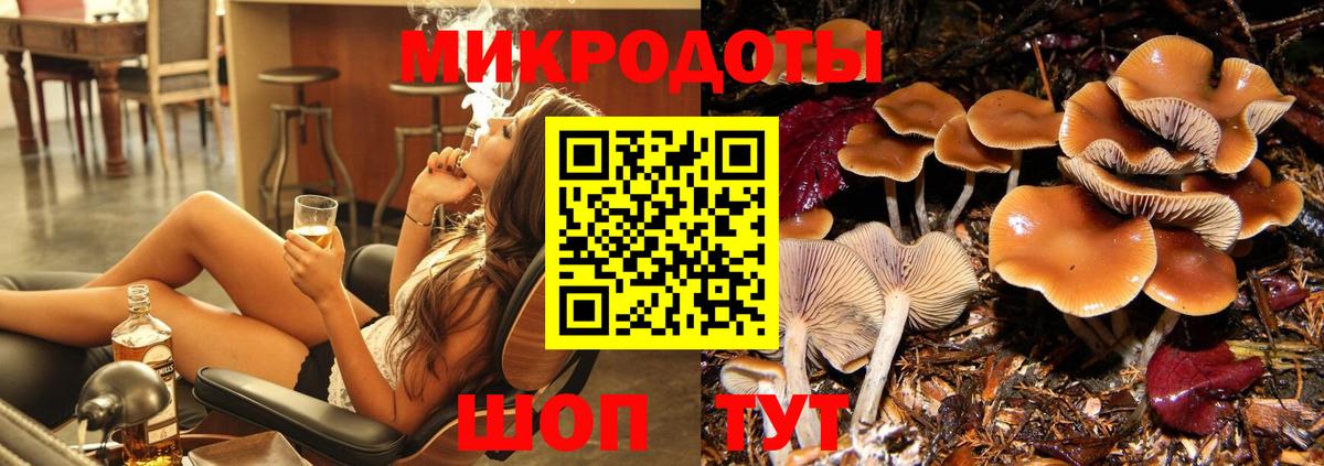 Псилоцибиновые грибы GOLDEN TEACHER Шелехов
