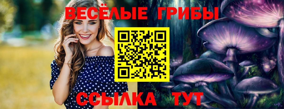 Шелехов  Галлюциногенные грибы прущие грибы  Галлюциногенные грибы Cubensis  Вход с VPN 
